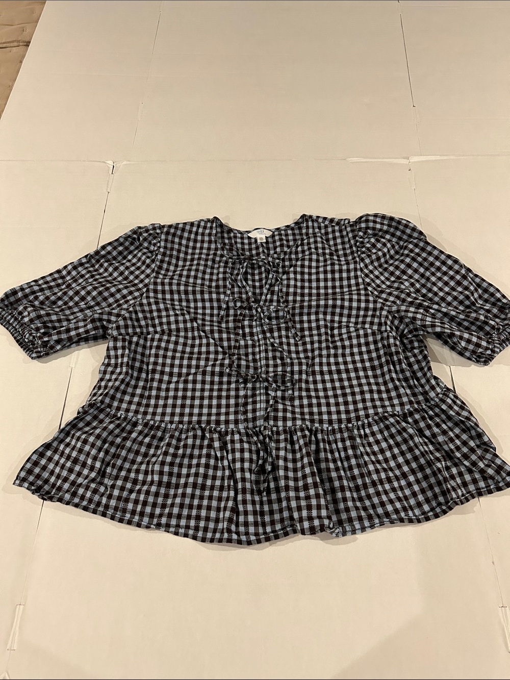 Time and Tru size XXL (20) light blue and brown gingham blouse